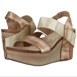 • OTBT• Bushnell Wedges in Gold